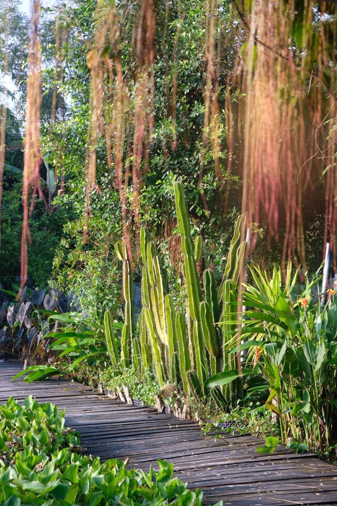 Bungalow - Farmstay Hoa Rung U Minh Cà Mau 외부 사진