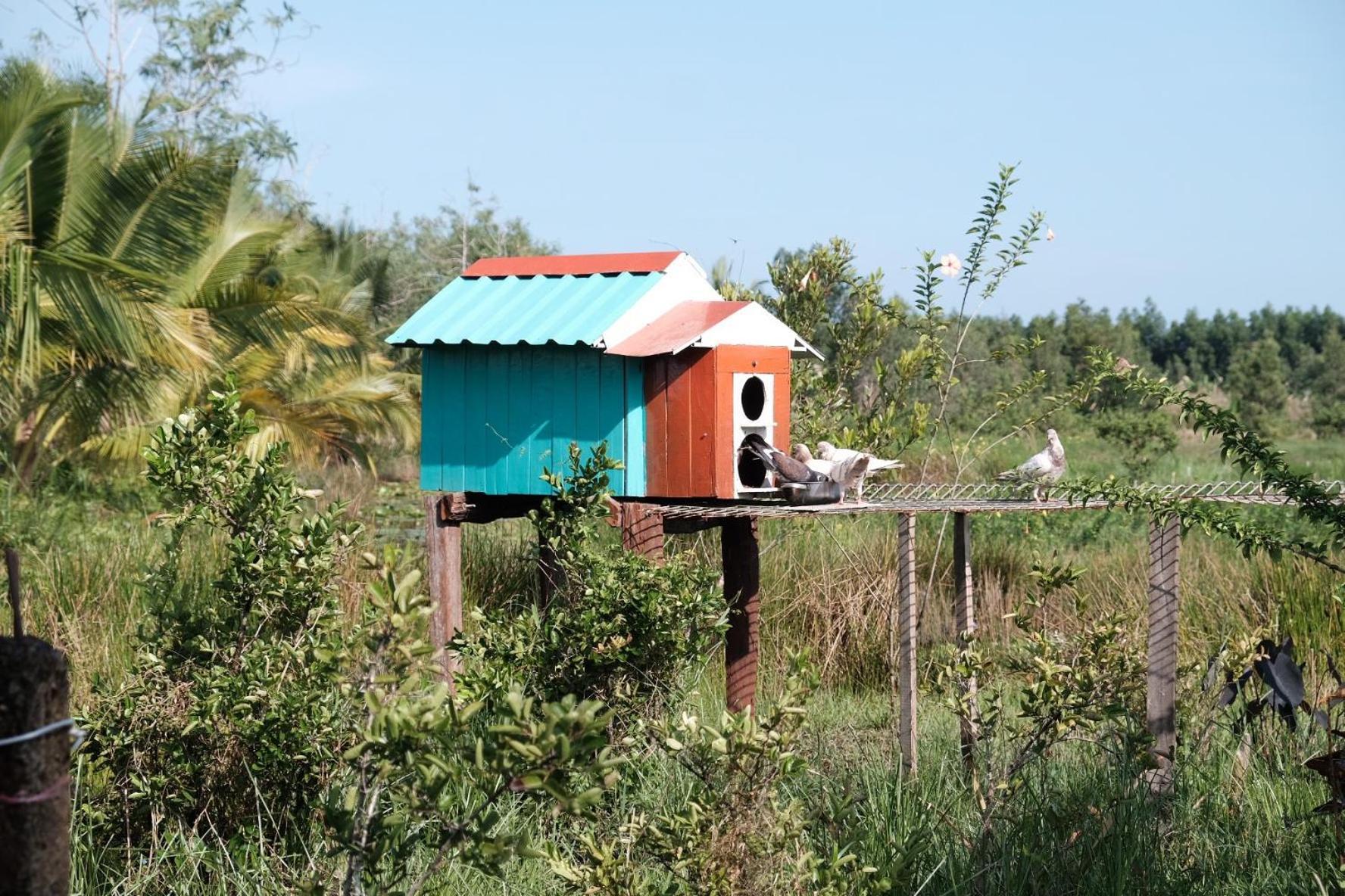 Bungalow - Farmstay Hoa Rung U Minh Cà Mau 외부 사진